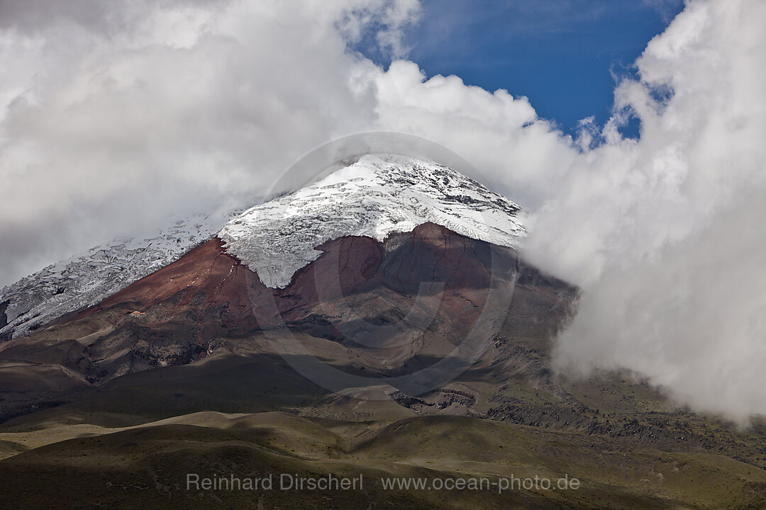 Blick auf den Cotopaxi, Cotopaxi Nationalpark, Galapagos, Ecuador