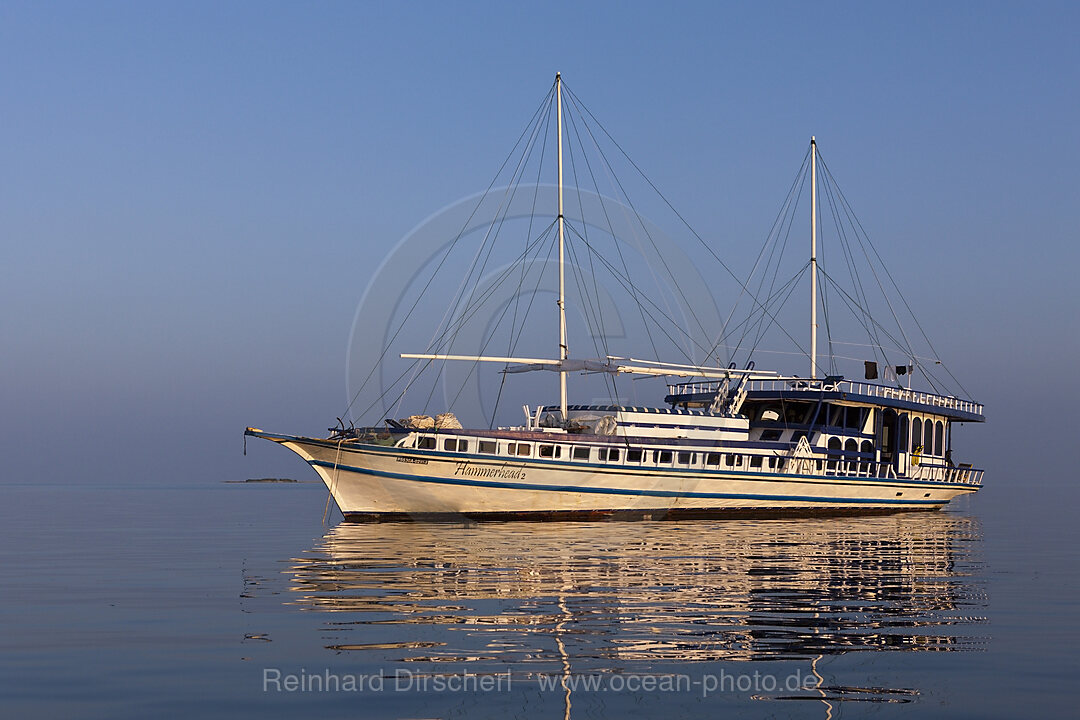 Tauchkreuzfahrtschiff Hammerhead 2, Sued Male Atoll, Malediven