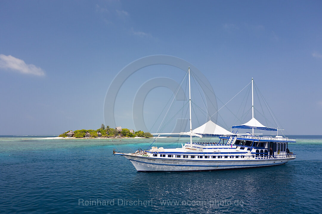 Tauchkreuzfahrtschiff Hammerhead 2, Sued Male Atoll, Malediven