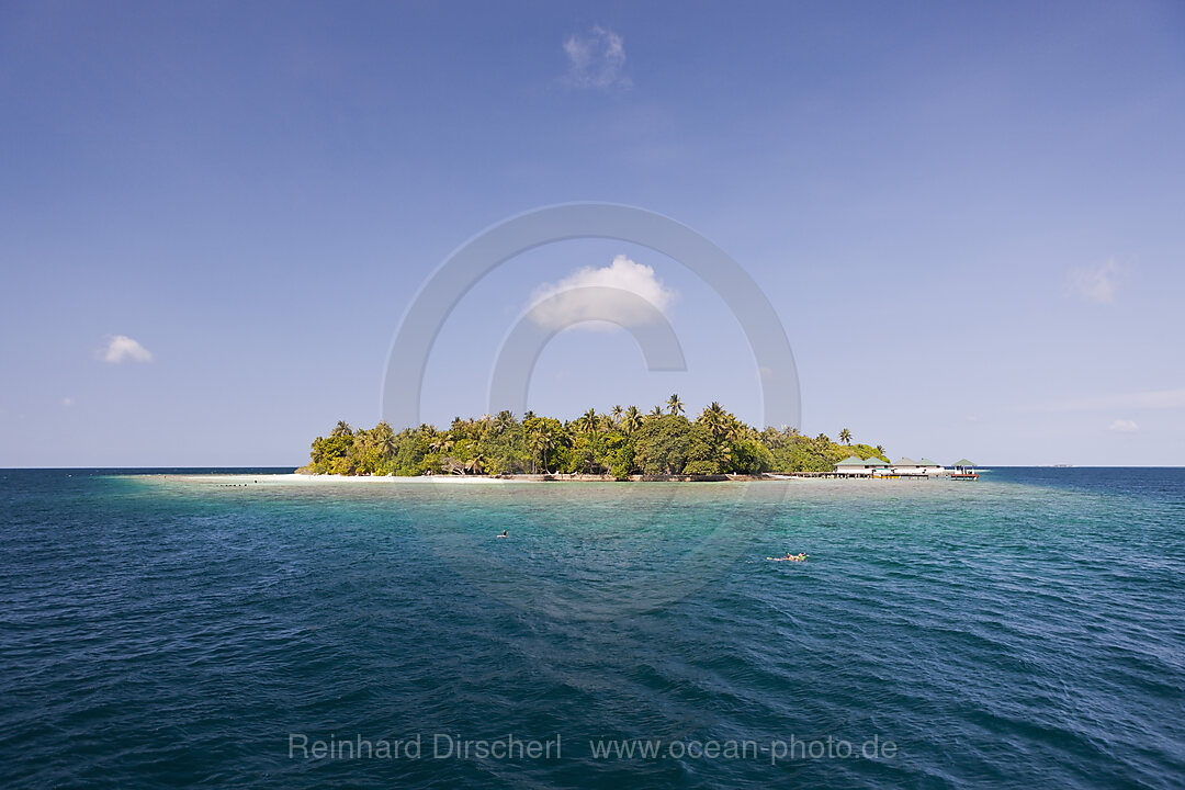 Malediveninsel Alimatha, Felidhu Atoll, Malediven