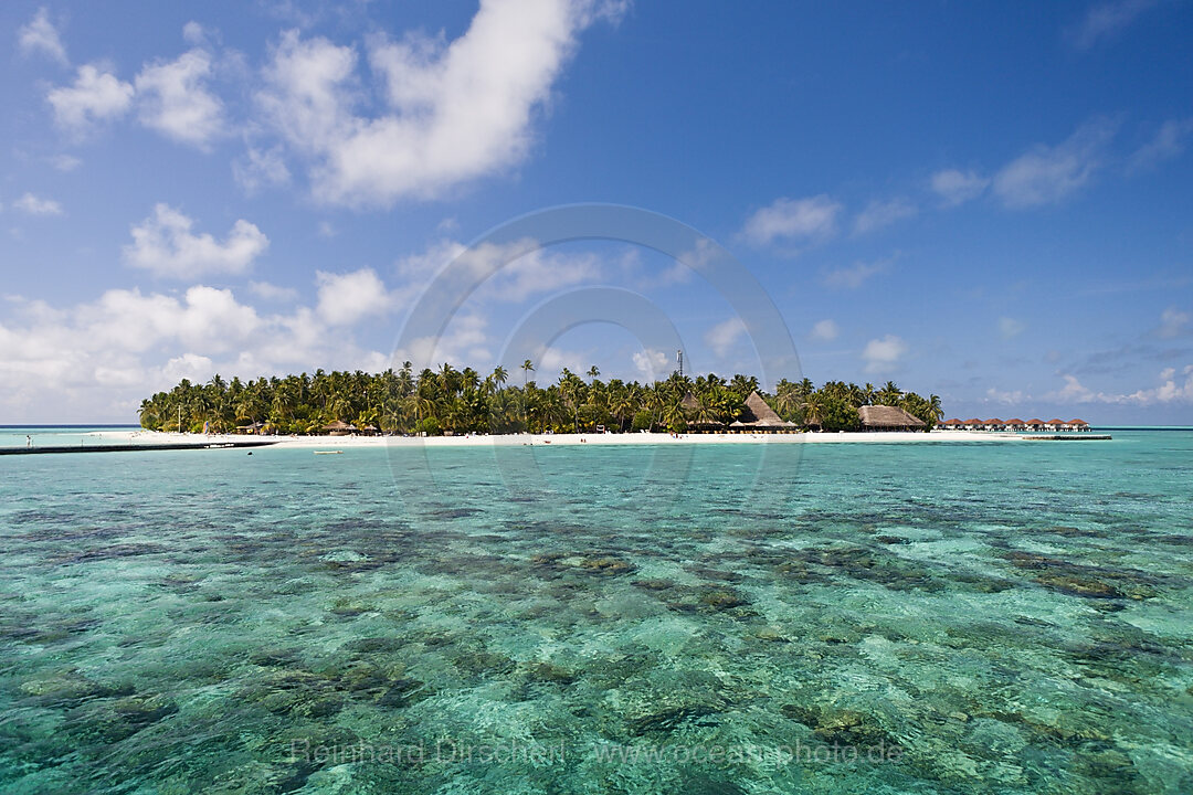 Malediveninsel Alimatha, Felidhu Atoll, Malediven