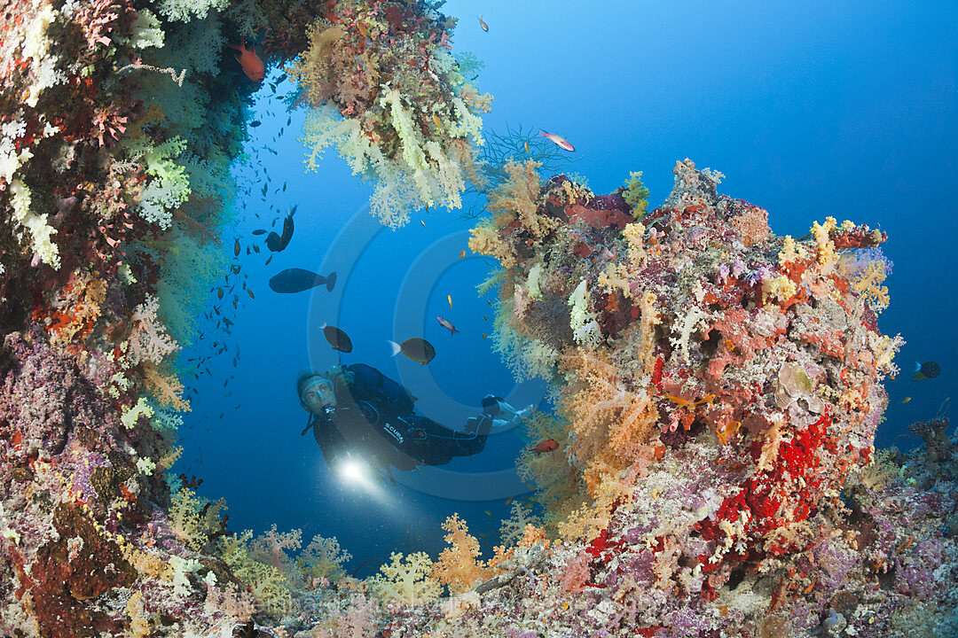 Taucher am Riff, Felidhu Atoll, Malediven