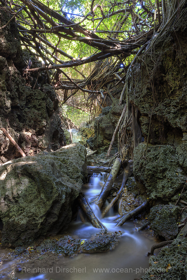 Andersons Dale Trail, Weihnachstinsel, Australien