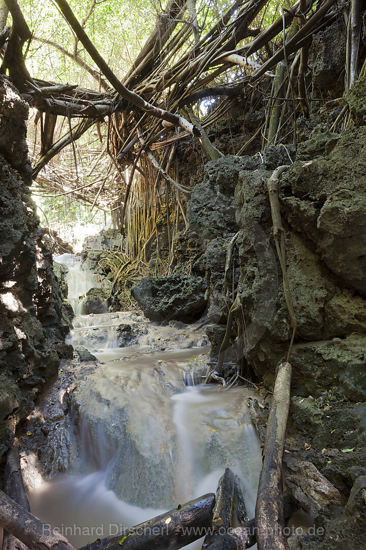 Andersons Dale Trail, Weihnachstinsel, Australien