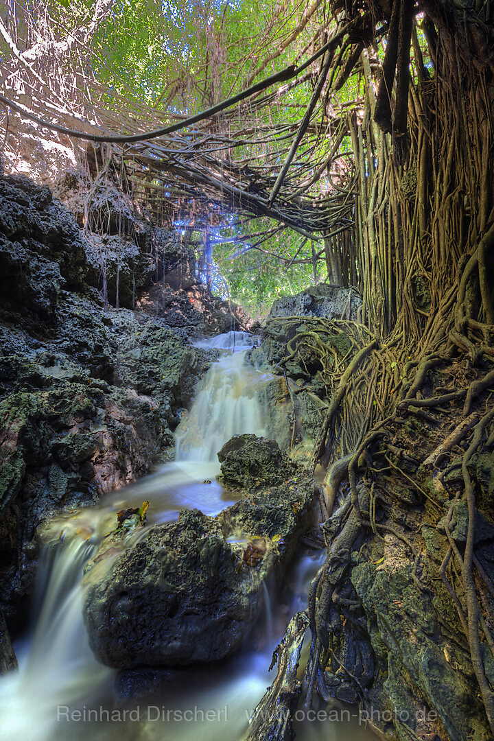 Andersons Dale Trail, Weihnachstinsel, Australien