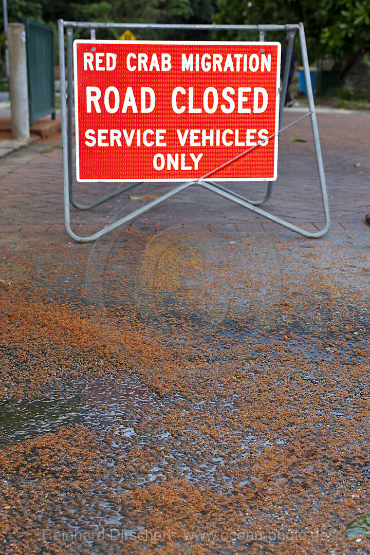 Schild zum Krabbenschutz, Gecarcoidea natalis, Weihnachstinsel, Australien