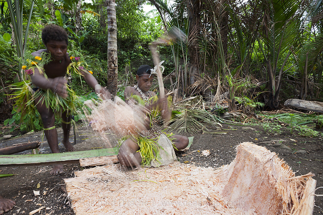 Demonstration der Sago-Herstellung, Tufi, Oro Provinz, Papua Neuguinea