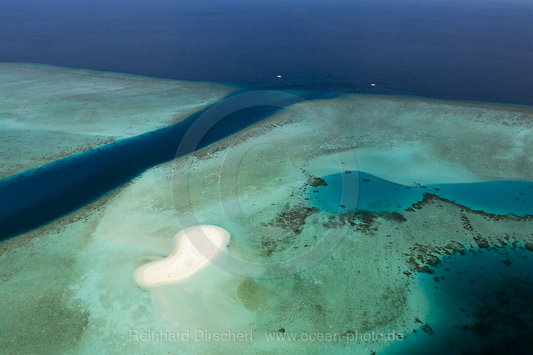 Tauchplatz Fotteyo Kanal, Felidhu Atoll, Indischer Ozean, Malediven