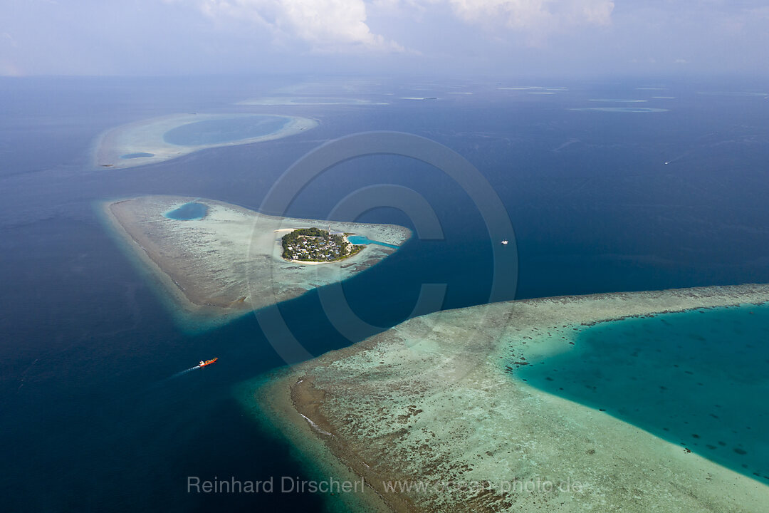 Diving Spot Rakheedhoo Channel, Felidhu Atoll, Indian Ocean, Maldives