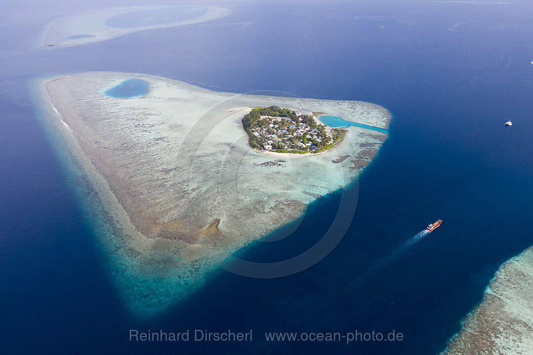 Tauchplatz Rakheedhoo Kanal, Felidhu Atoll, Indischer Ozean, Malediven