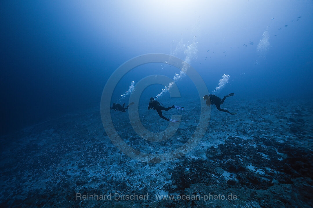 Scuba Diving at French Polynesia, Apataki Atoll, Tuamotu Archipel, French Polynesia