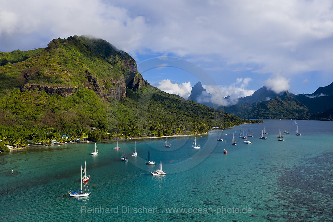 Aerial View of Opunohu Bay, Moorea, French Polynesia