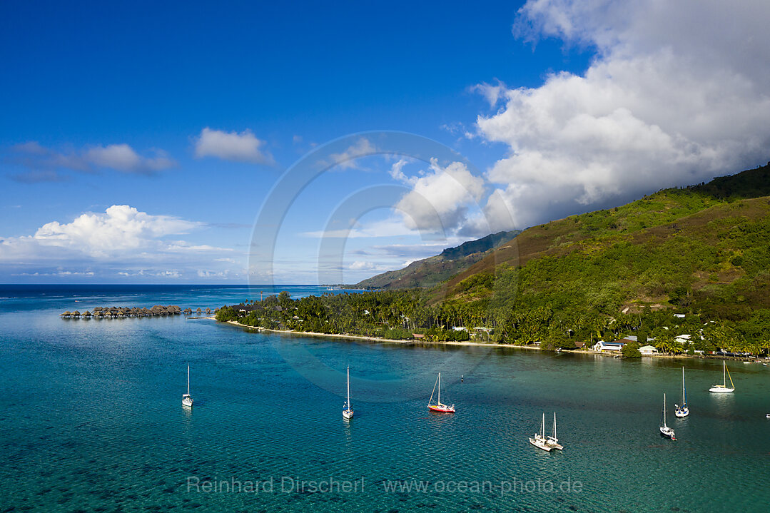 Aerial View of Opunohu Bay, Moorea, French Polynesia