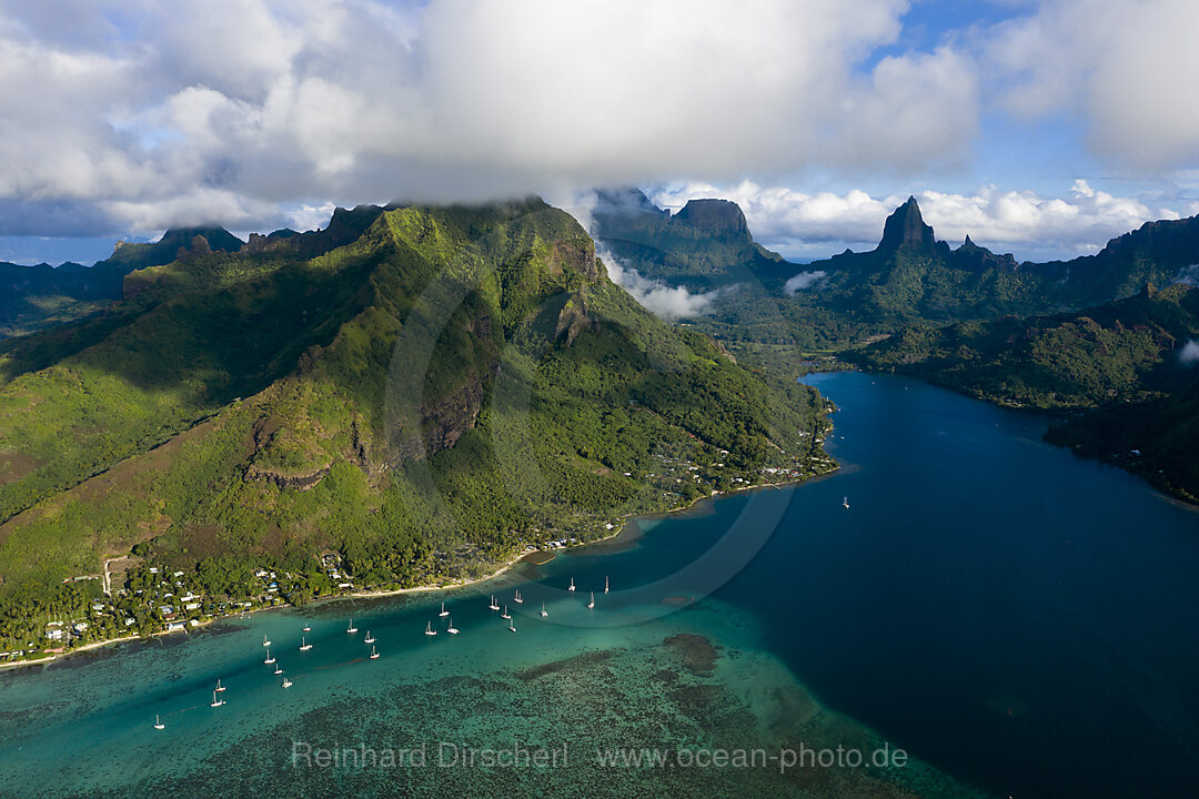 Blick auf die Opunohu Bucht, Moorea, Franzoesisch Polynesien