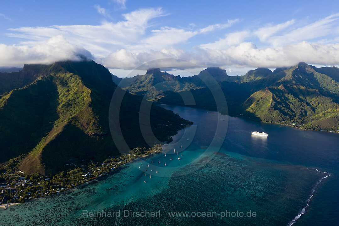 Blick auf die Opunohu Bucht, Moorea, Franzoesisch Polynesien