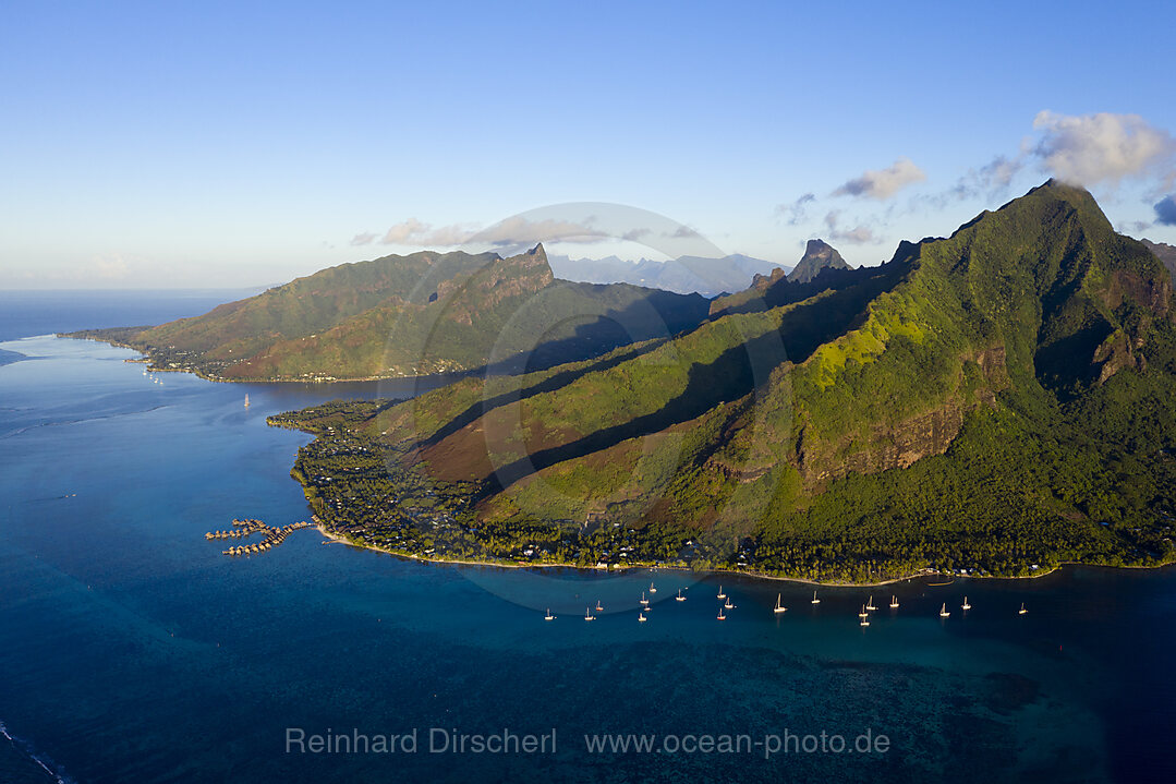 Blick auf die Baie de Cook und Opunohu Bucht, Moorea, Franzoesisch Polynesien