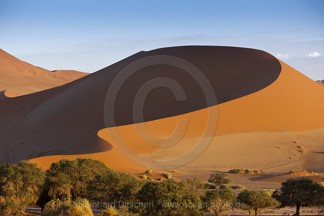 Big Mama Dune in Sossusvlei Area, Namib Naukluft Park, Namibia