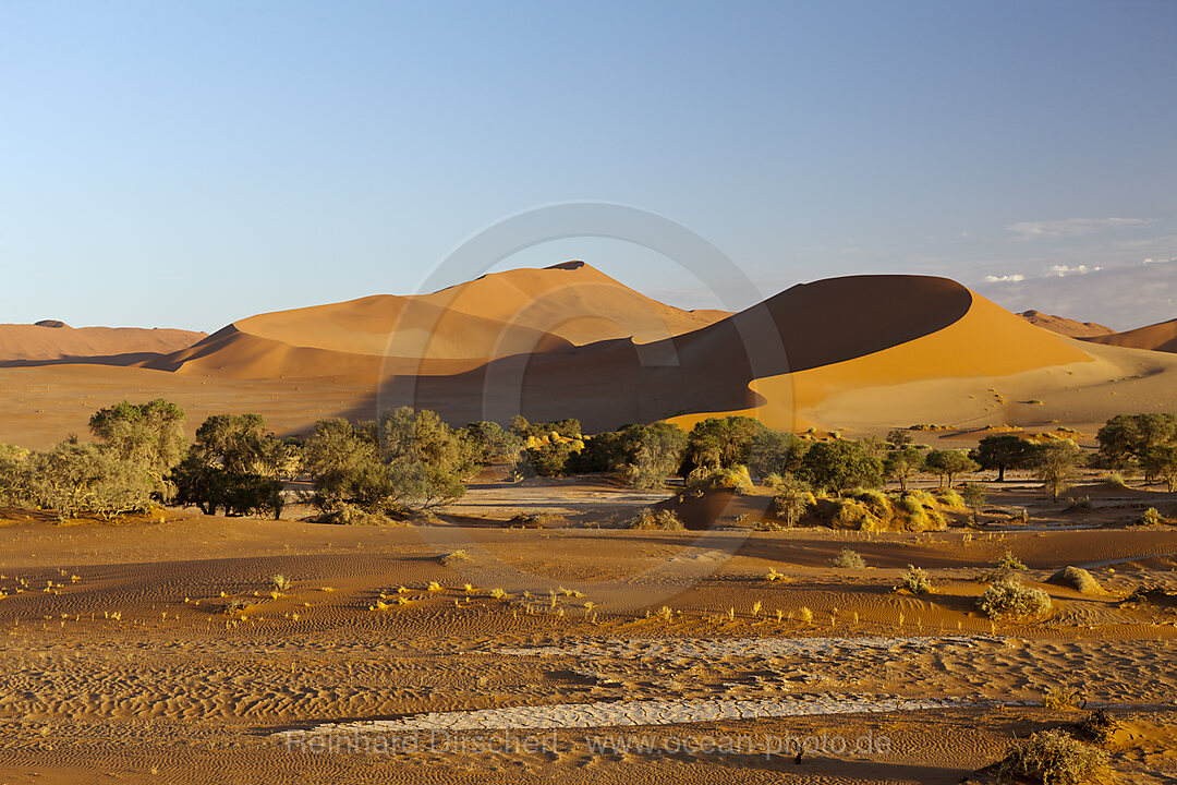 Big Mama Duene im Sossusvlei Areal, Namib Naukluft Park, Namibia