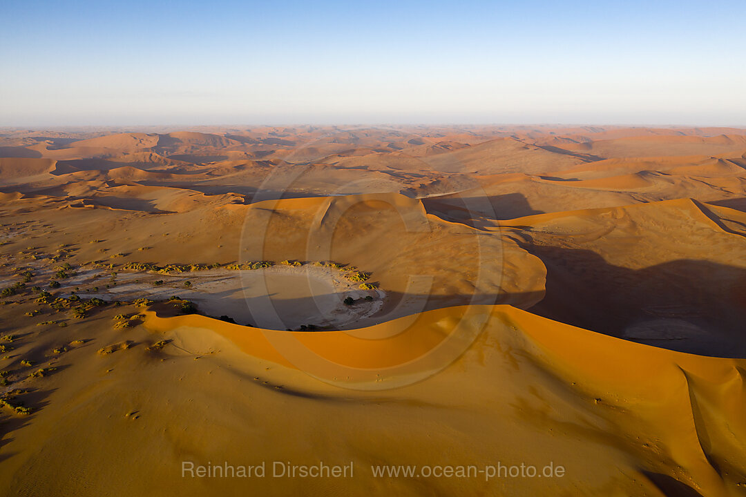 Big Mama Duene im Sossusvlei Areal, Namib Naukluft Park, Namibia