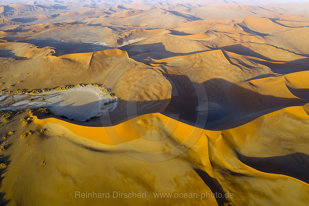 Big Mama Duene im Sossusvlei Areal, Namib Naukluft Park, Namibia