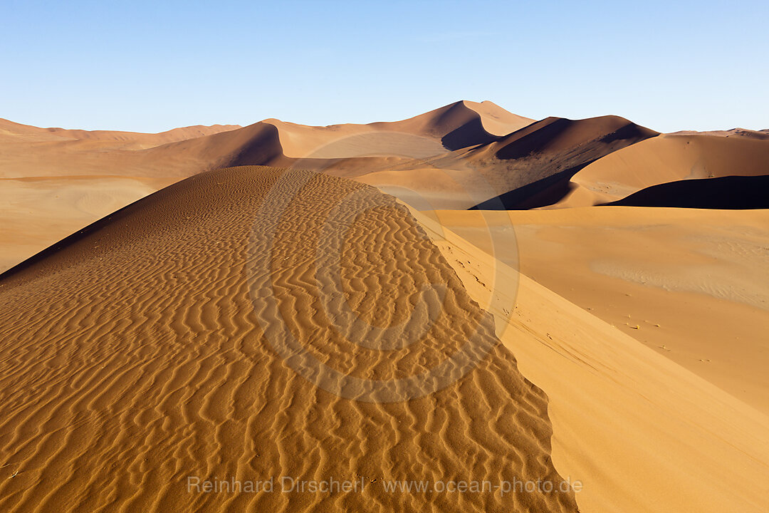 Duenen im Sossusvlei Areal, Namib Naukluft Park, Namibia