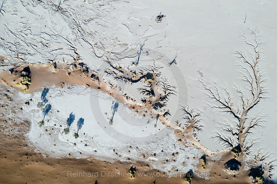 Luftaufnahme des Deadvlei, Namib Naukluft Park, Namibia