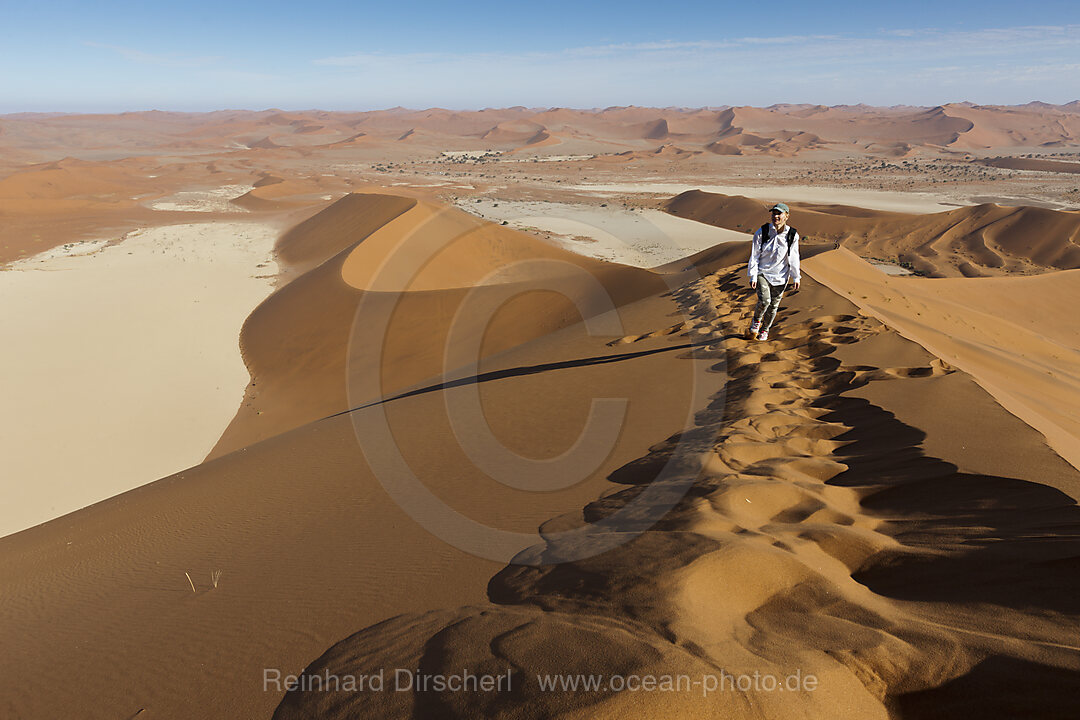 Big Daddy Duene im Deadvlei, Namib Naukluft Park, Namibia