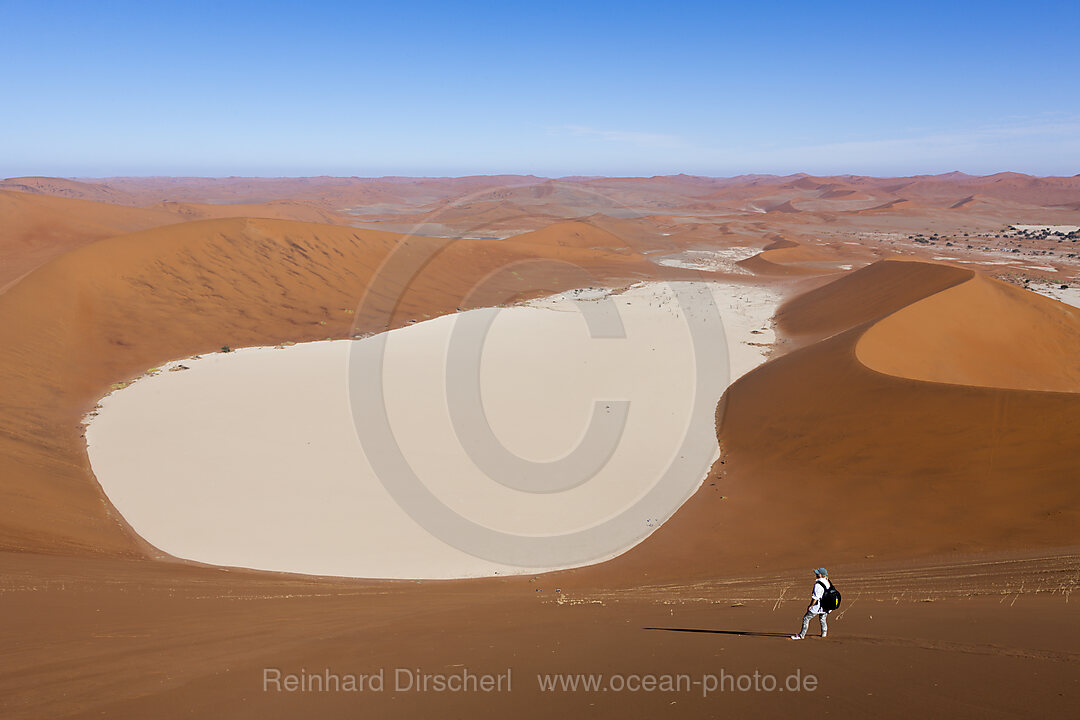 Big Daddy Dune at Deadvlei, Namib Naukluft Park, Namibia