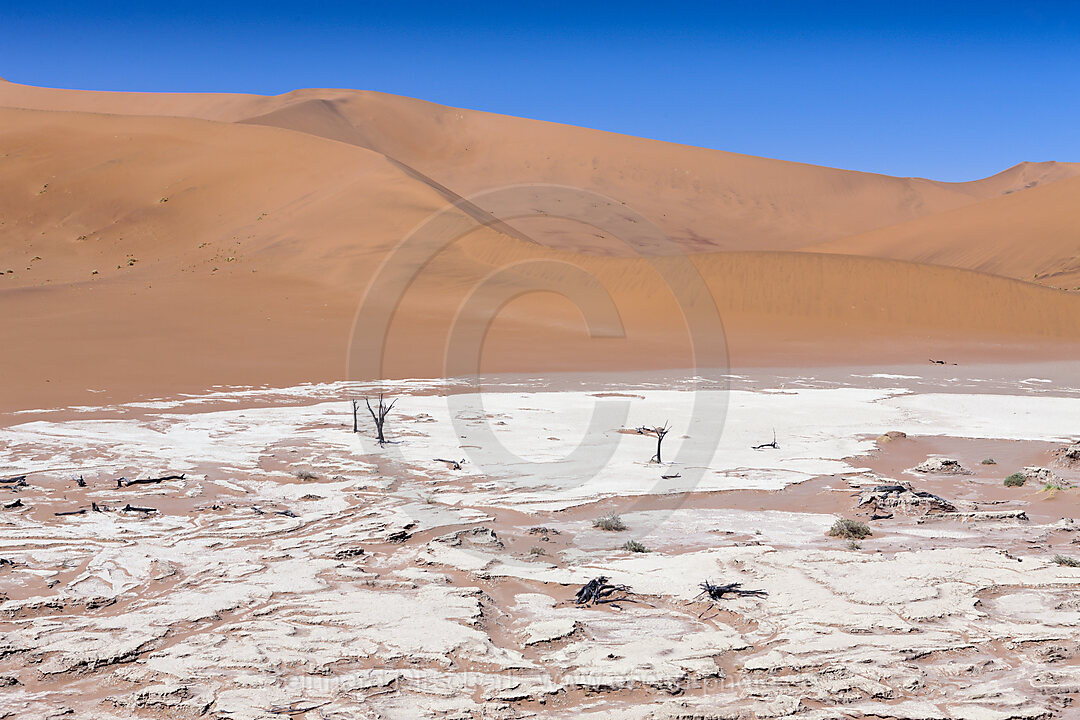 Impressions of Hiddenvlei, Namib Naukluft Park, Namibia