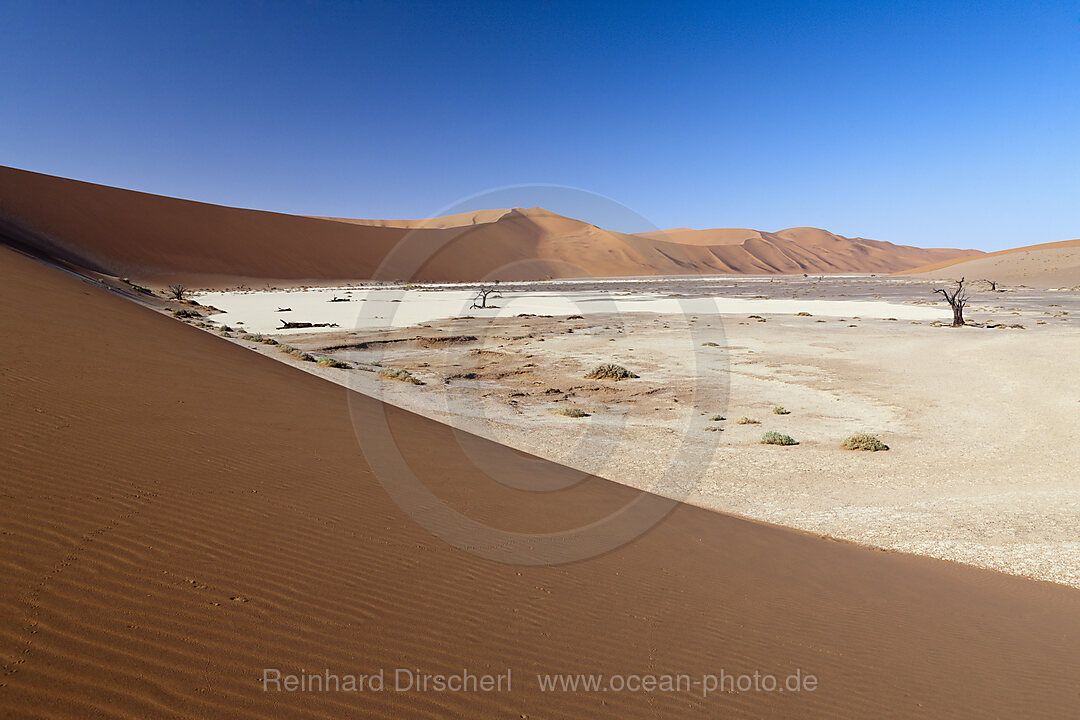 Impressionen von Hiddenvlei, Namib Naukluft Park, Namibia