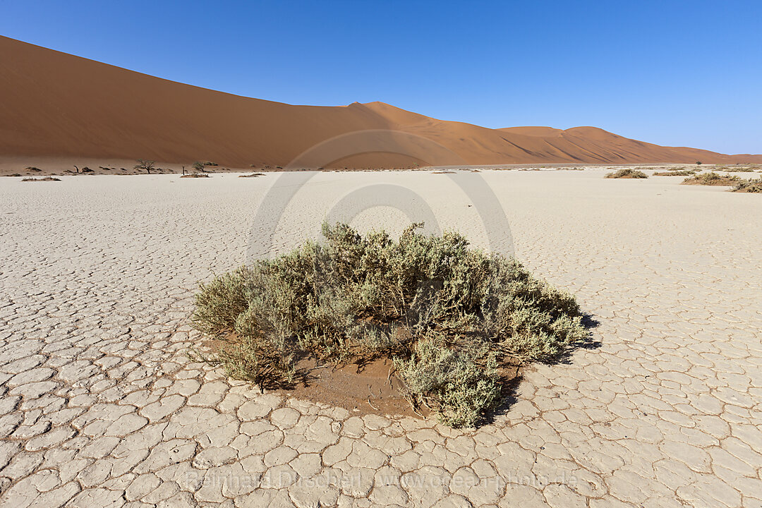 Impressionen von Hiddenvlei, Namib Naukluft Park, Namibia