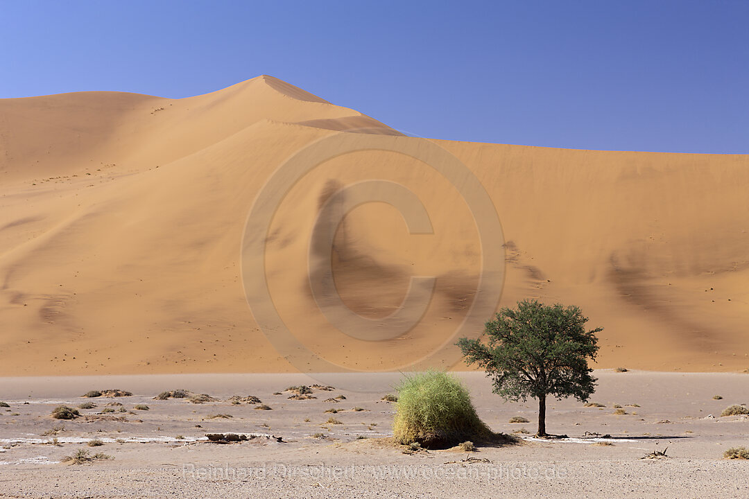 Impressionen von Hiddenvlei, Namib Naukluft Park, Namibia