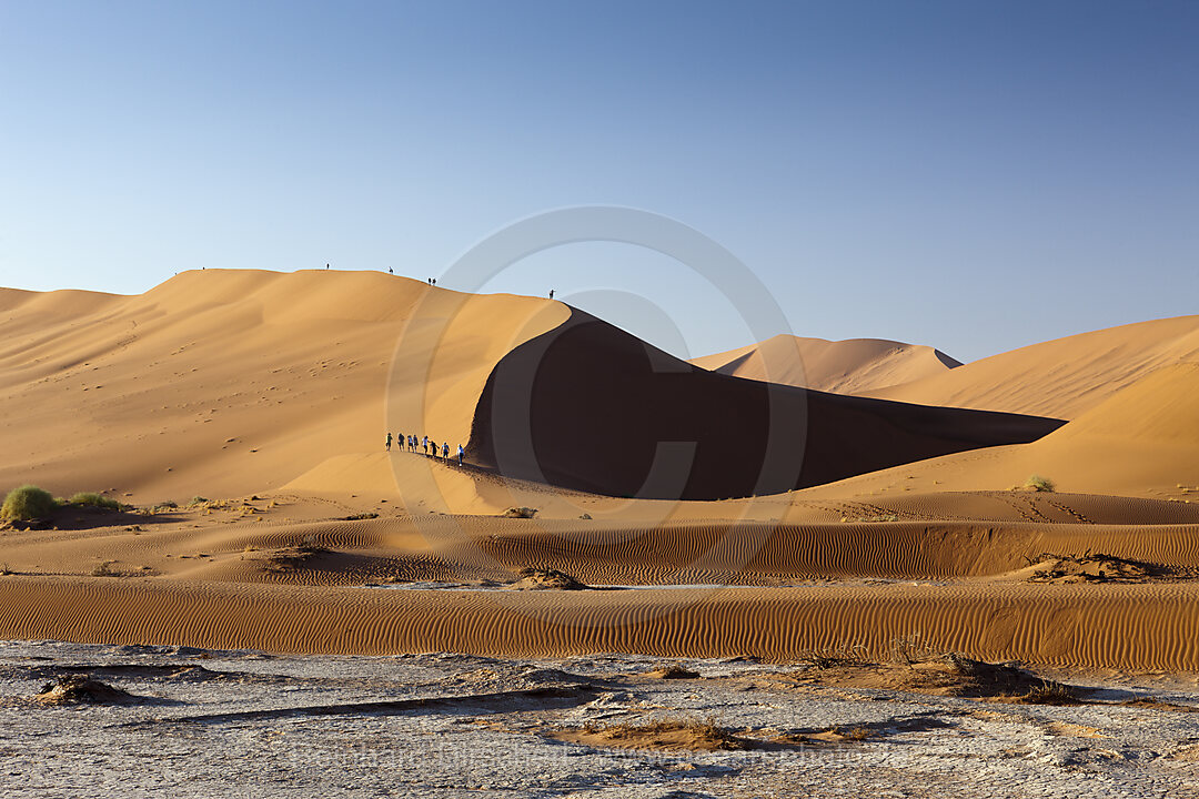 Tourists hiking the Big Daddy Dune, Namib Naukluft Park, Namibia