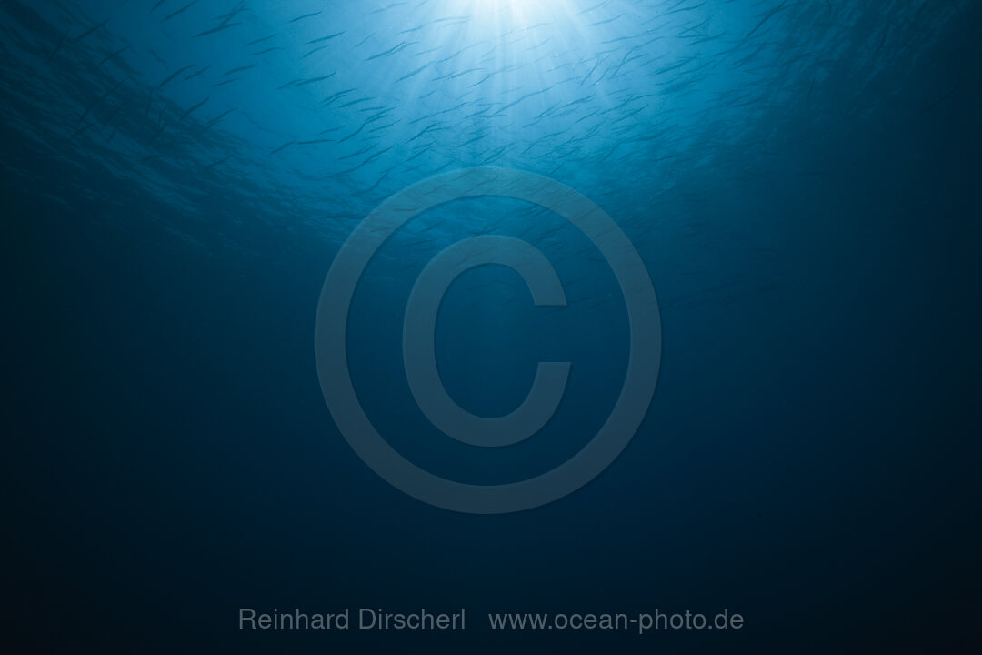 Sun Rays in Blue Ocean, Kimbe Bay, New Britain, Papua New Guinea