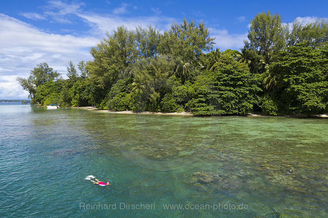 Schnorcheln am Haussriff von Lissenung, New Ireland, Papua Neuguinea