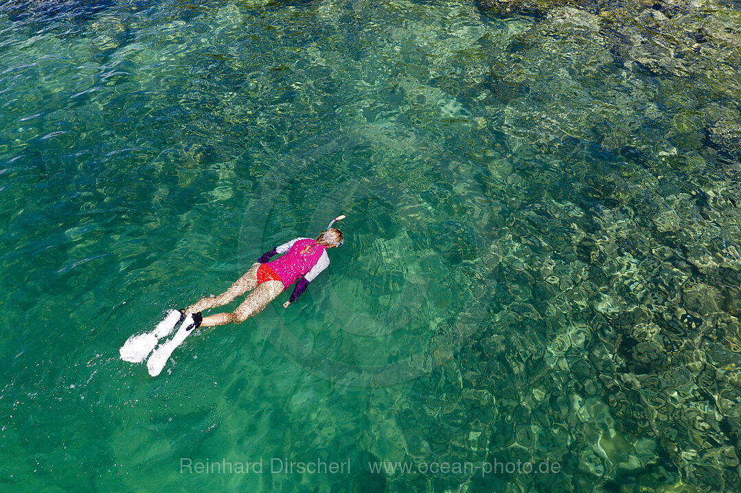 Snorkeling at House Reef of Lissenung, New Ireland, Papua New Guinea