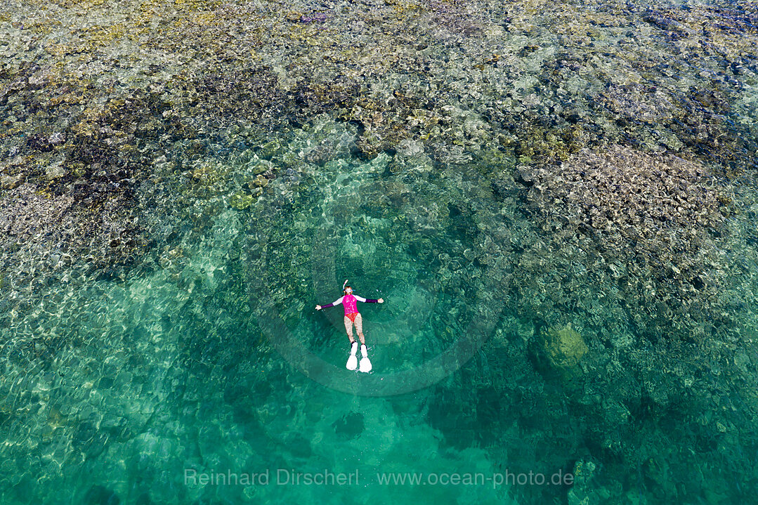 Snorkeling at House Reef of Lissenung, New Ireland, Papua New Guinea