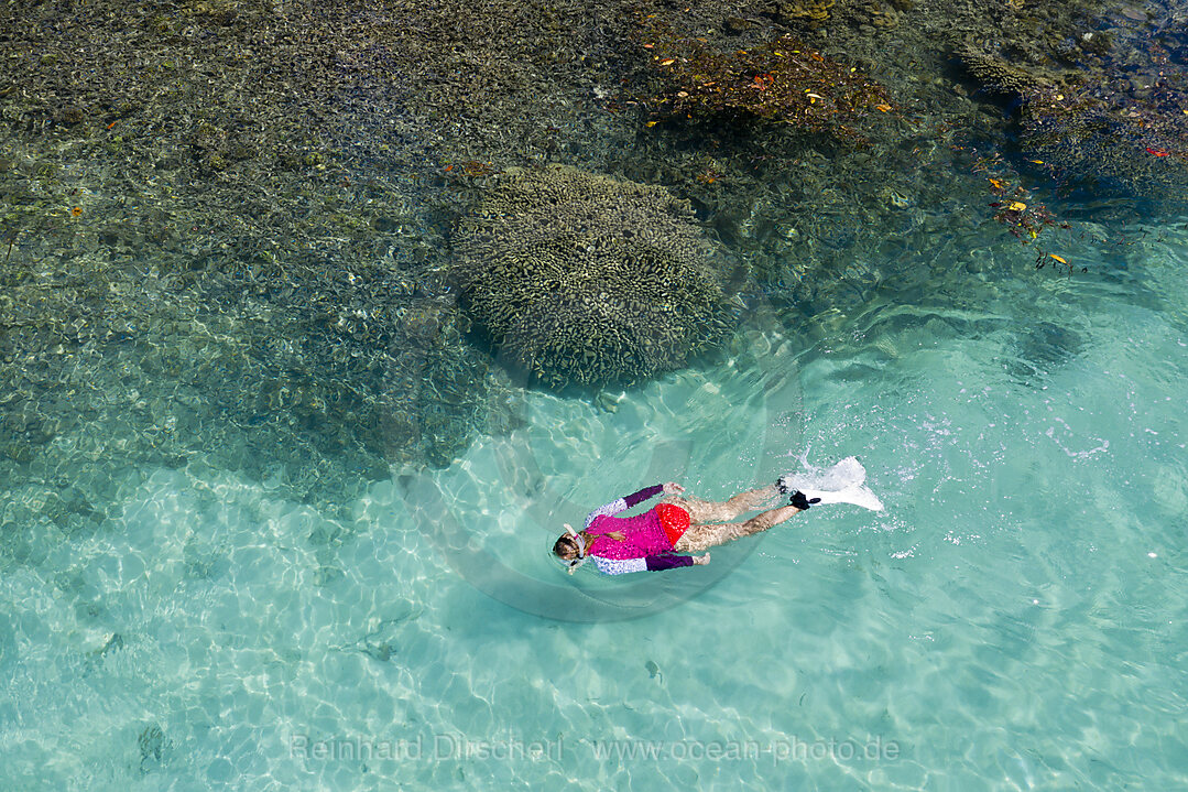 Snorkeling at House Reef of Lissenung, New Ireland, Papua New Guinea