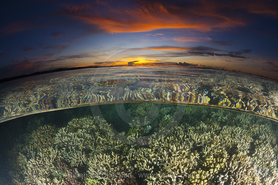 Korallenriff bei Sonnenuntergang, New Ireland, Papua Neuguinea