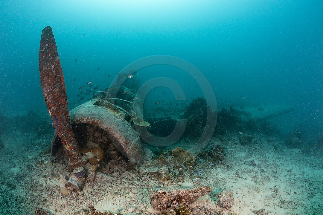 Japanisches Kate Bomber Wrack, New Ireland, Papua Neuguinea