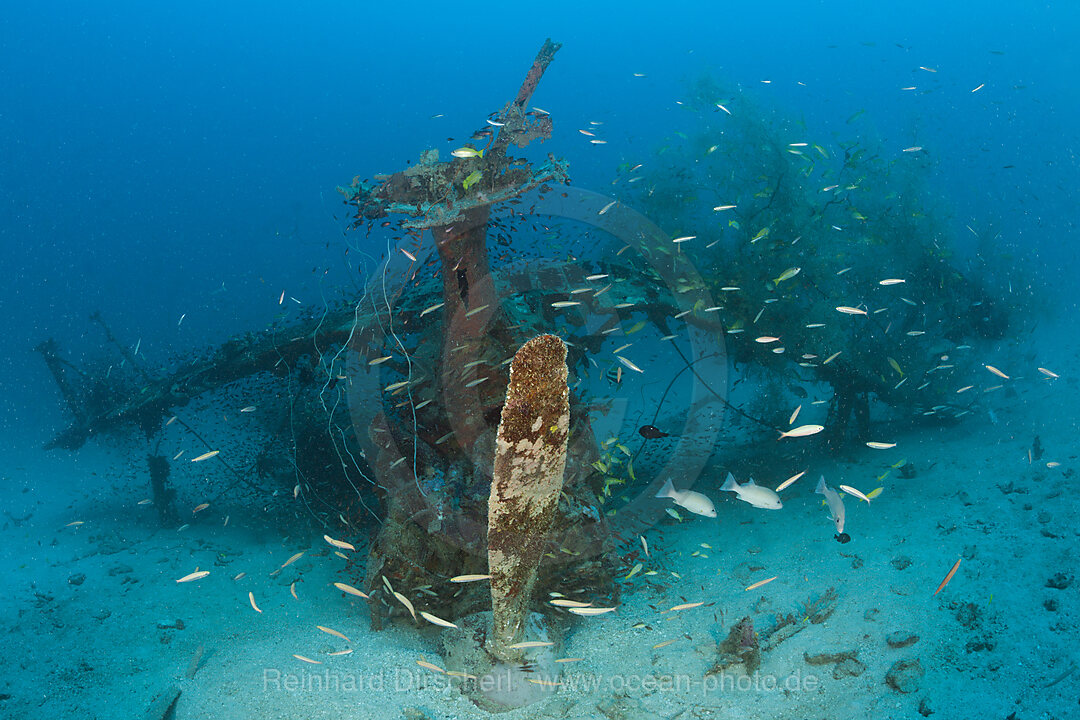 Mitsubishi F1M Pete Schwimmerflugzeug Wrack, New Ireland, Papua Neuguinea
