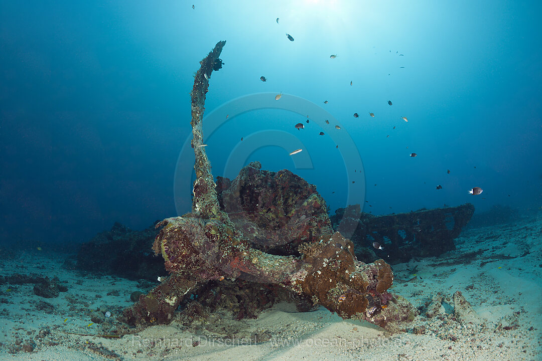 PBY Catalina Flugboot A24-12, New Ireland, Papua Neuguinea
