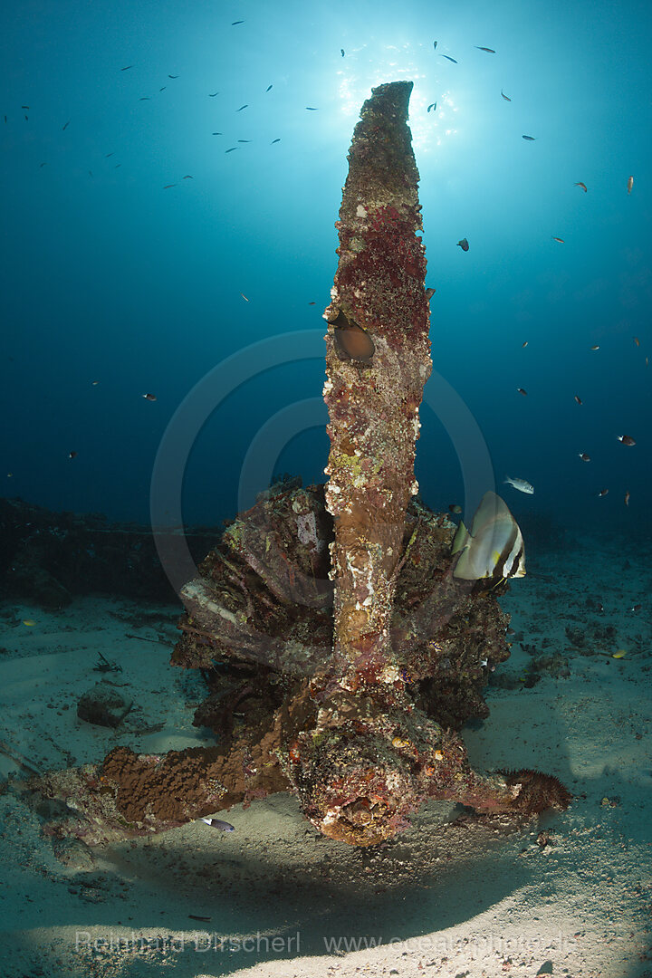 PBY Catalina Flugboot A24-13, New Ireland, Papua Neuguinea