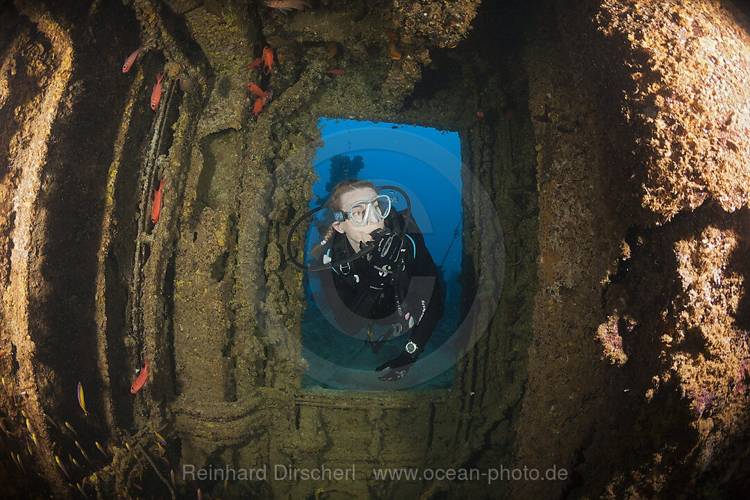Scuba Diver explore Stern of Maldive Victory Wreck, Hulhule, North Male Atoll, Maldives