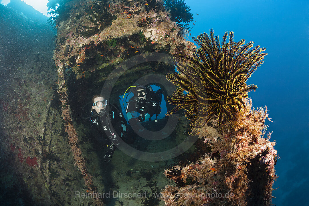 Taucher am Heck des Maldive Victory Wrack, Hulhule, Nord Male Atoll, Malediven