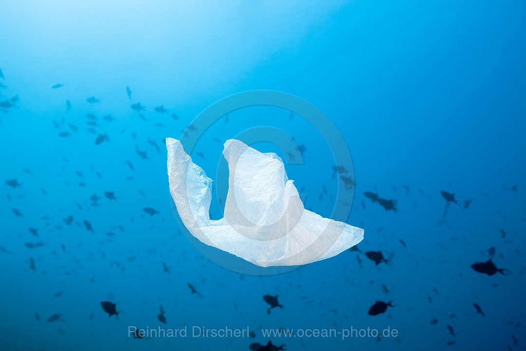 Muelltuete treibt durchs Meer, Nord Male Atoll, Indischer Ozean, Malediven