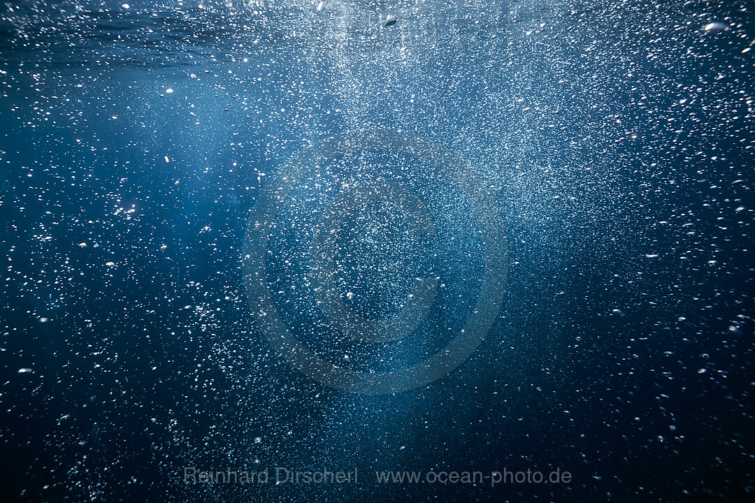 Rising air bubbles, Vis Island, Mediterranean Sea, Croatia
