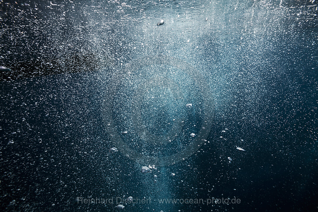 Rising air bubbles, Vis Island, Mediterranean Sea, Croatia