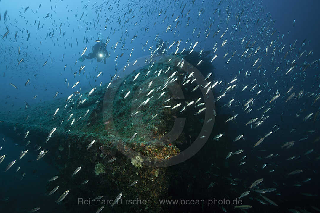 Scuba Diver at Vassilios Wreck, Vis Island, Mediterranean Sea, Croatia