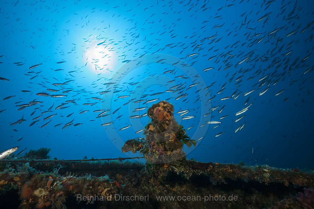 Wreck Vassilios T, Vis Island, Mediterranean Sea, Croatia